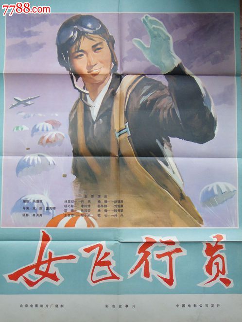 乍得驾驶证怎么仿制